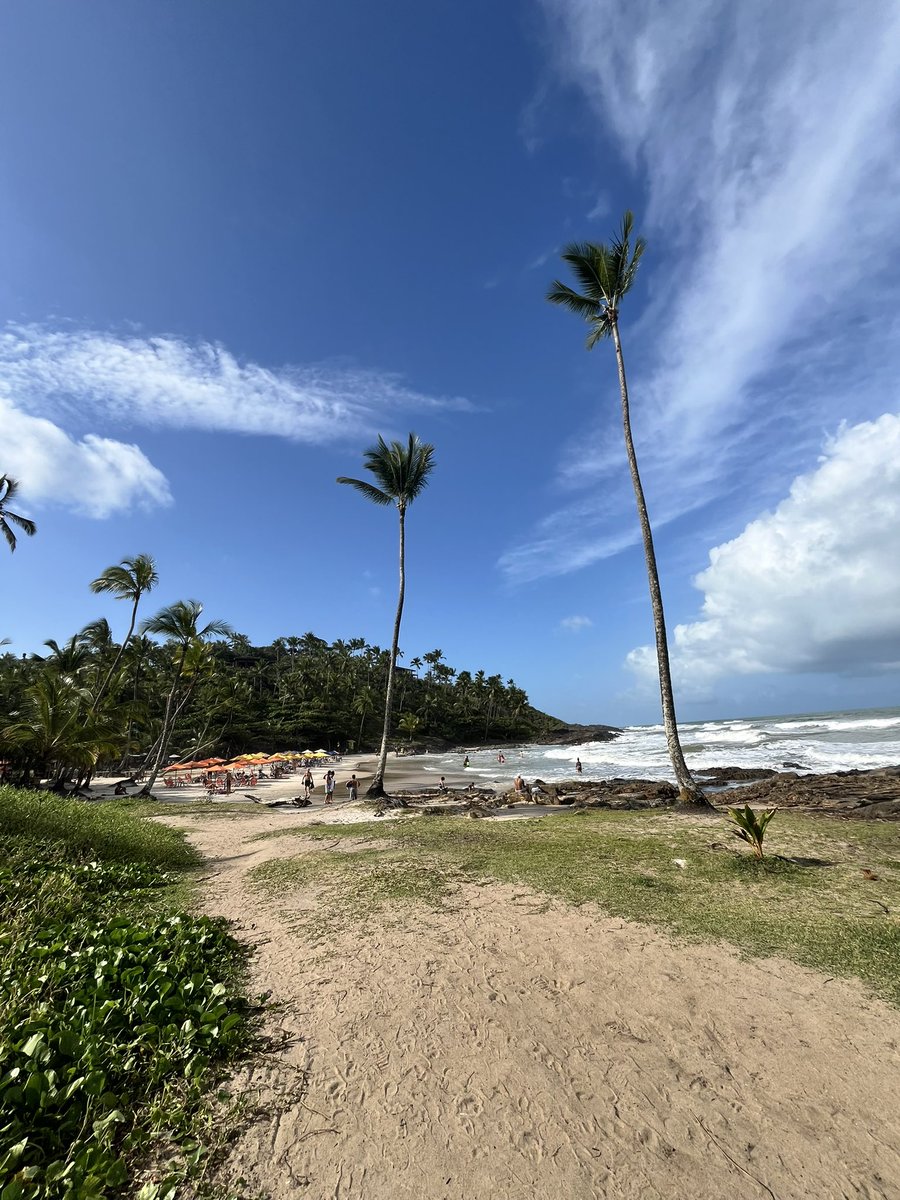 Saudades da Bahia, só fumei bomba lá, foi zika