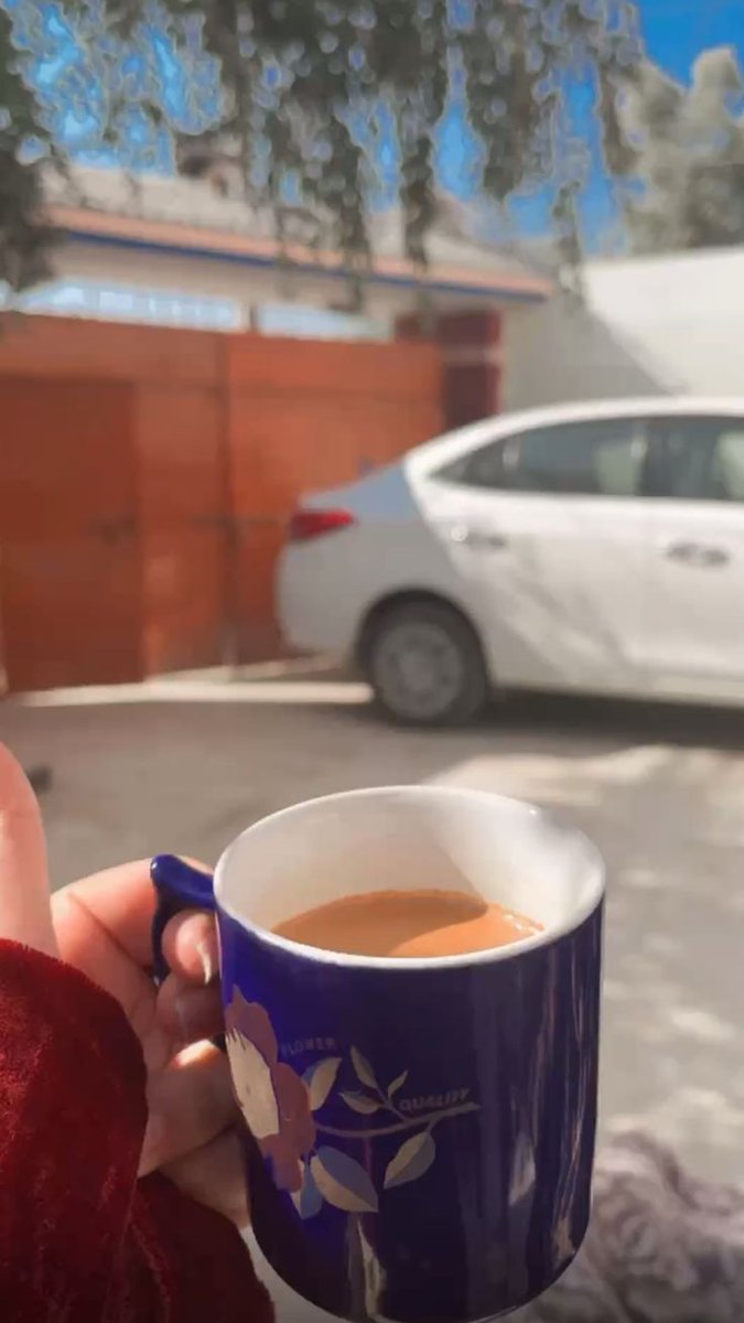 ℍ𝕆𝕆ℝ𝕀𝕐𝔸 👑 tweet media