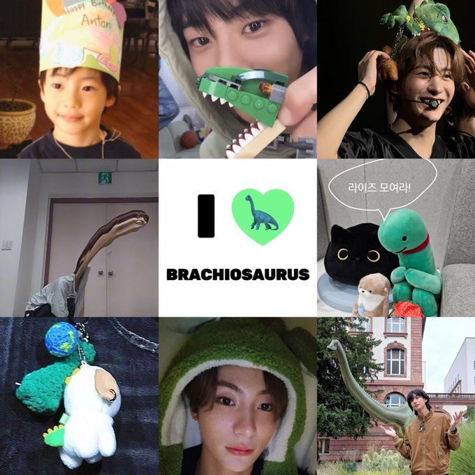 dudica 🦕 tweet media