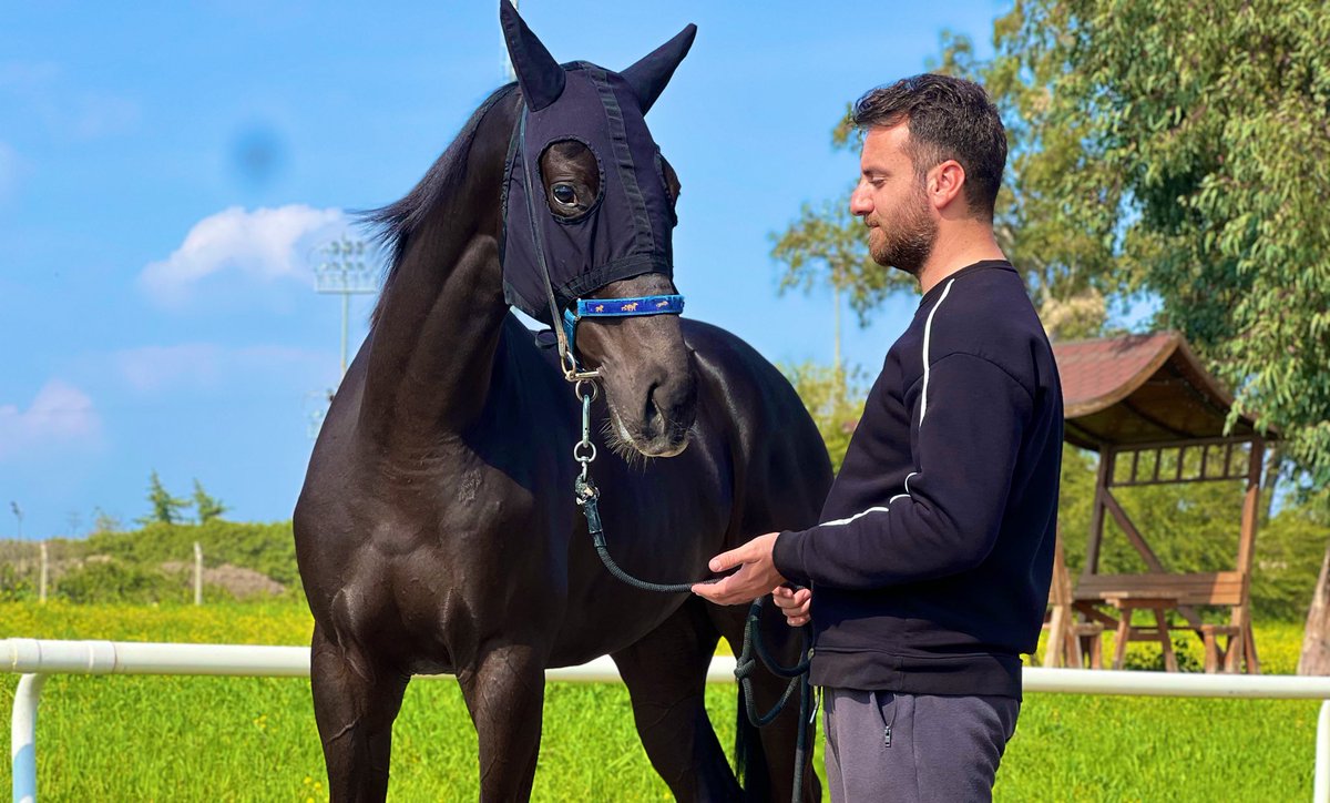 Nurullah Forza tweet media