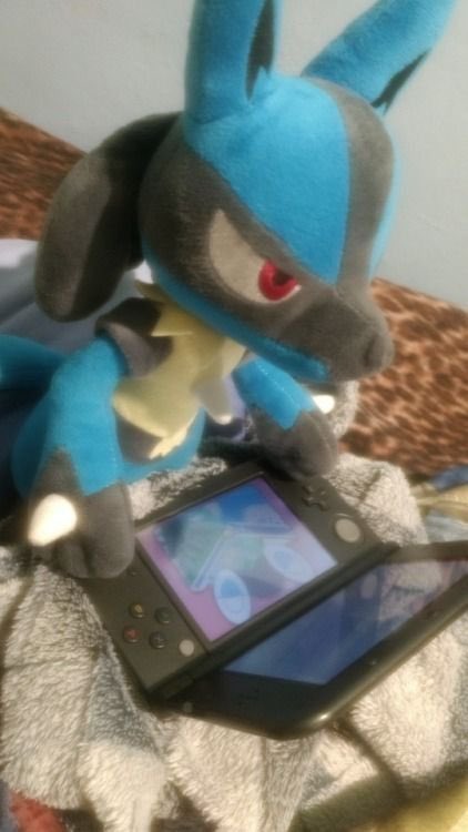 설가링 tweet media