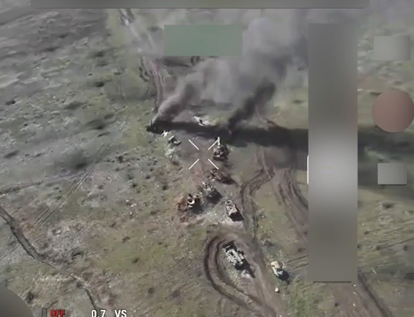 Special Kherson Cat 🐈🇺🇦 tweet media