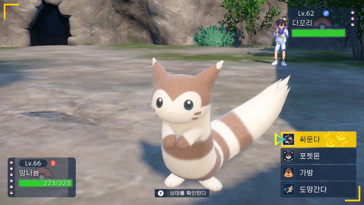 설가링 tweet media