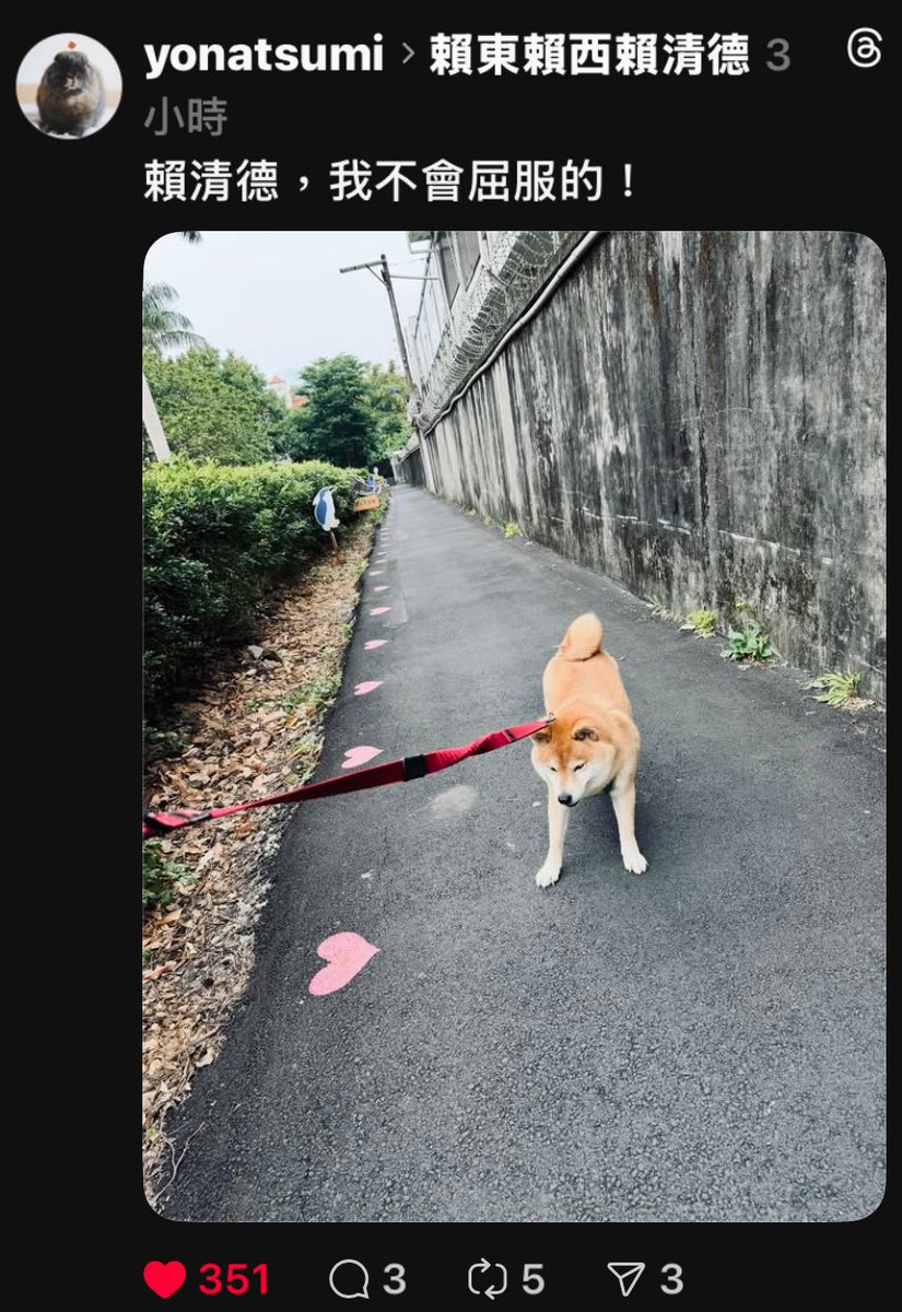 阮山祐祐子 kina迷惑言行探討🪂TAIWAN💗🇯🇵 tweet media