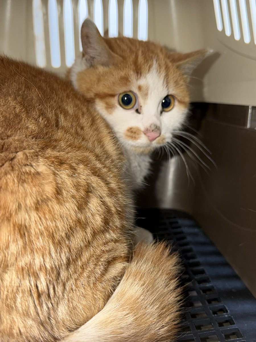 느리지만 이루는 자 tweet media