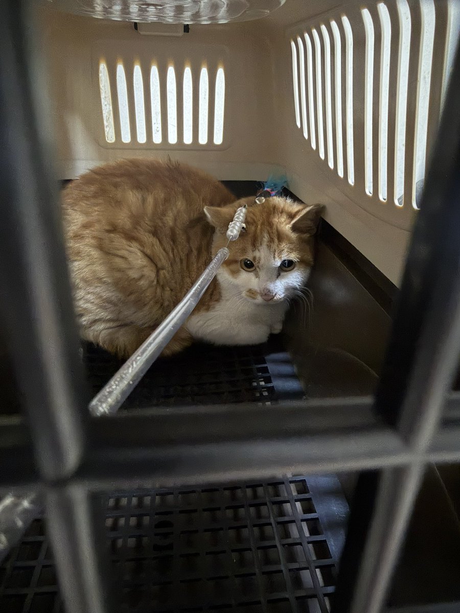 느리지만 이루는 자 tweet media