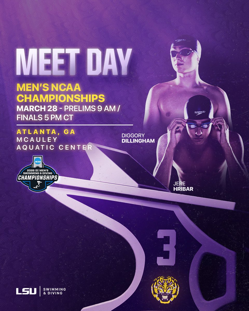 LSU Swimming & Diving tweet media