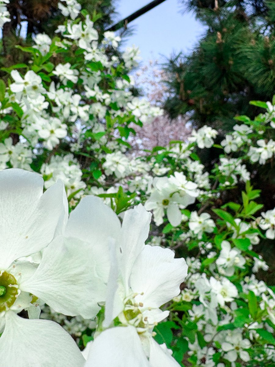 じゅっけんカッパのコタロウ【公式なのに1回ロック🤘】 tweet media