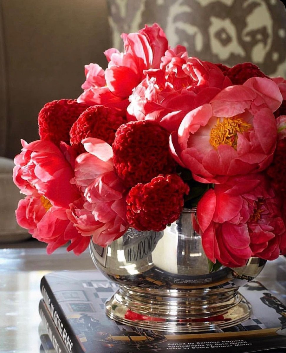 Elle Lookbook tweet media