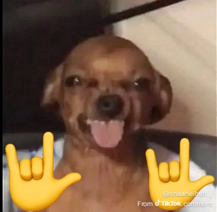 Gege • ゲゲ tweet media