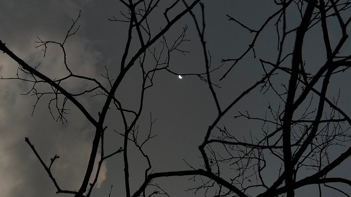 Raimonds Perkons tweet media