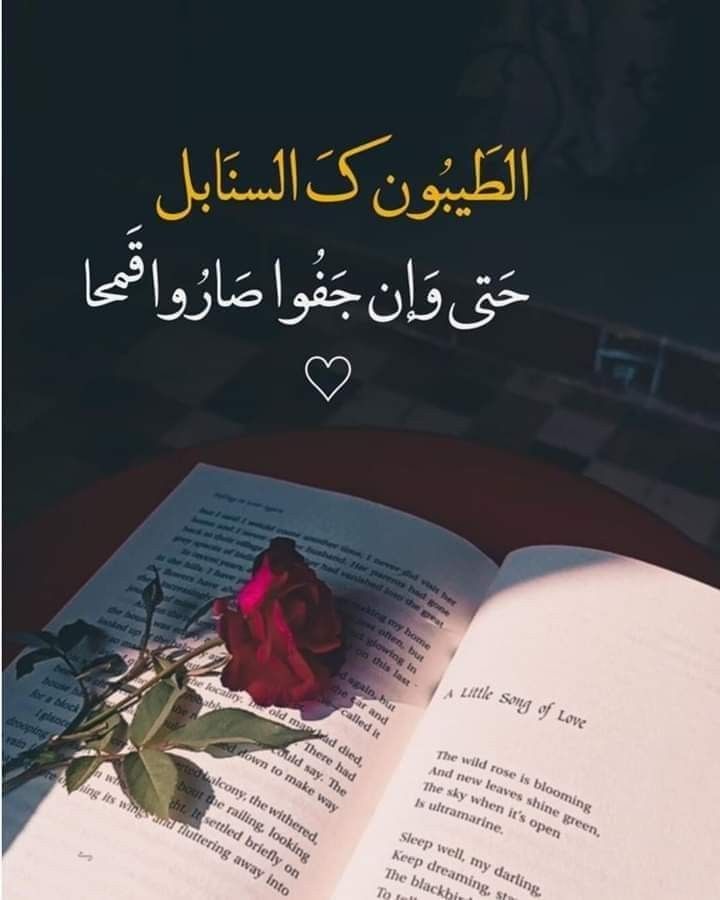 🌷رهف 🌹🌹 tweet media