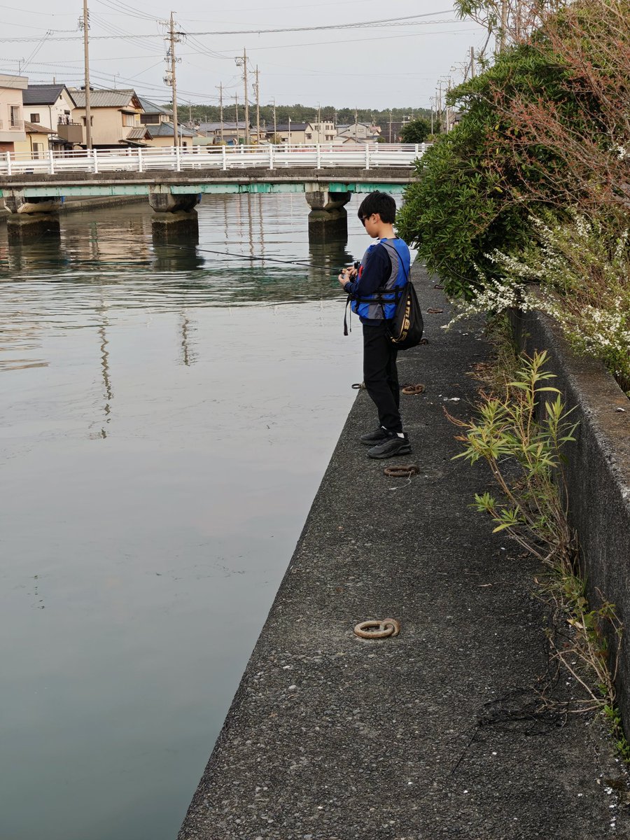 チヌイングごりら tweet media