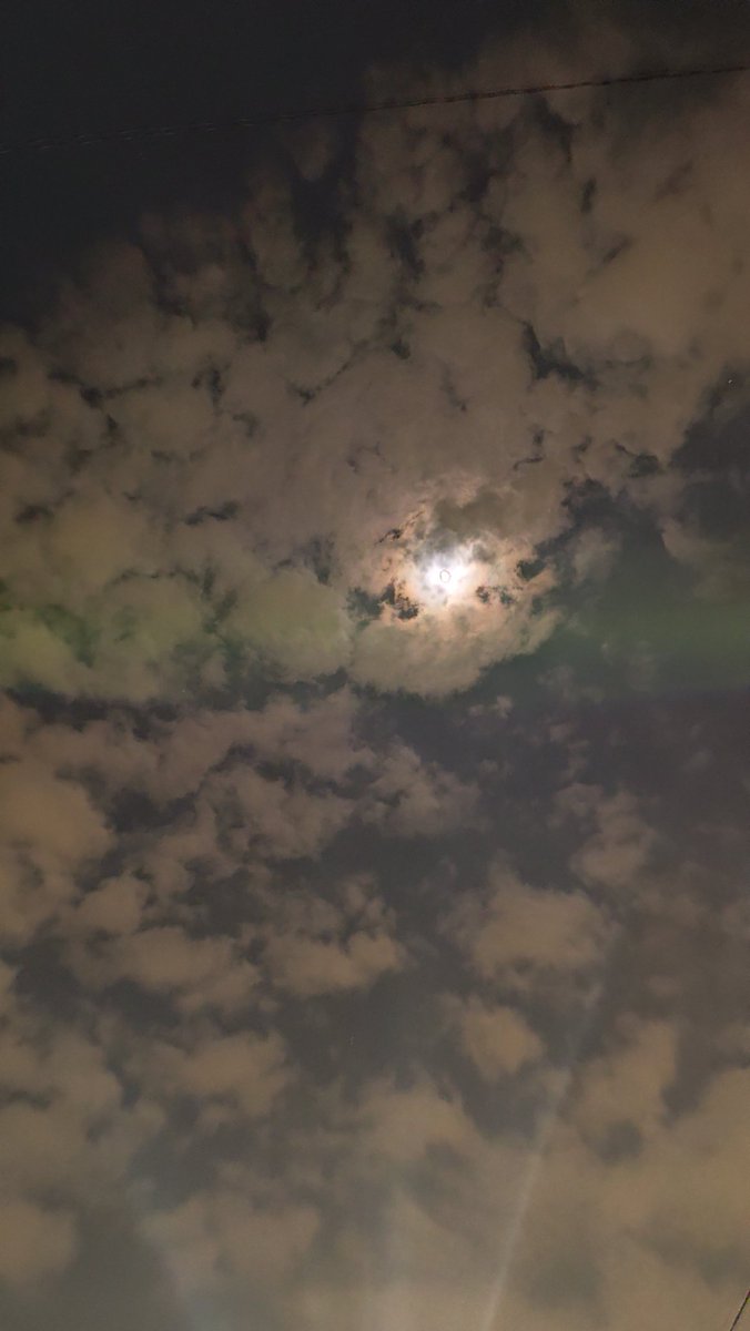 あやぴょこ🍍 tweet media