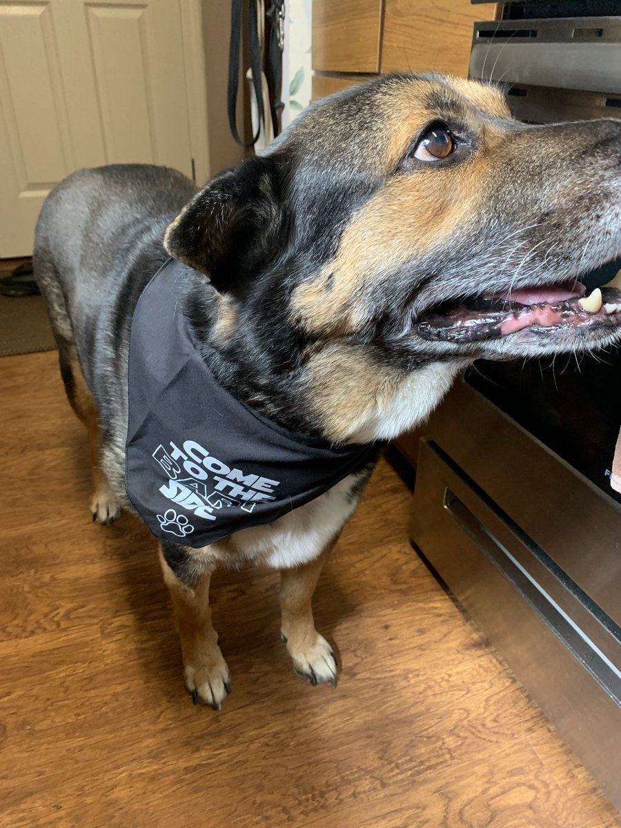 Elizabeth Hefner tweet media