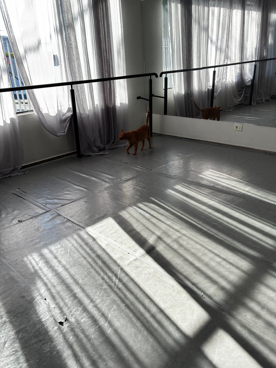 mako 🍒 tweet media