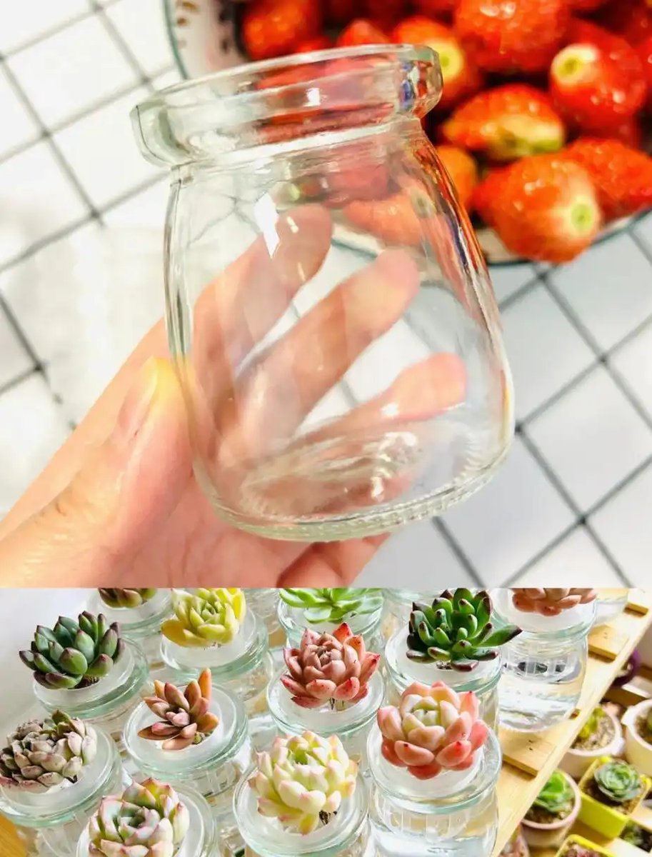 trúc giang tweet media