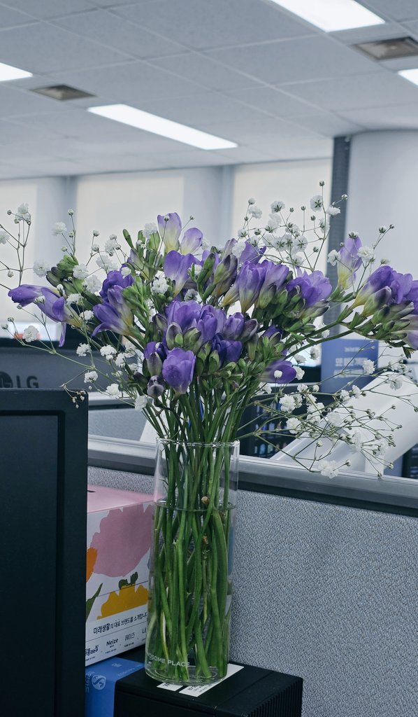 뇨호호 tweet media