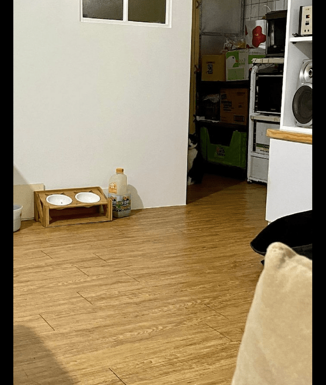 медведев максим tweet media