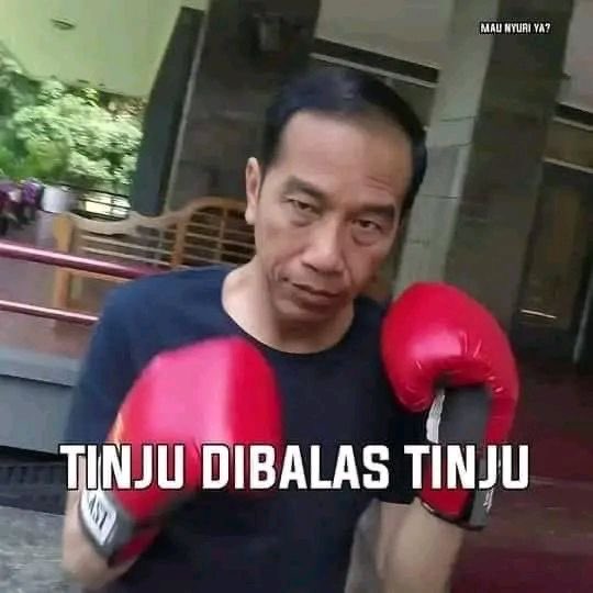 vale 𐙚, kinda ia tweet media