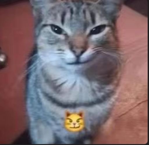 Ray 🩹 ˖ ࣪ . tweet media