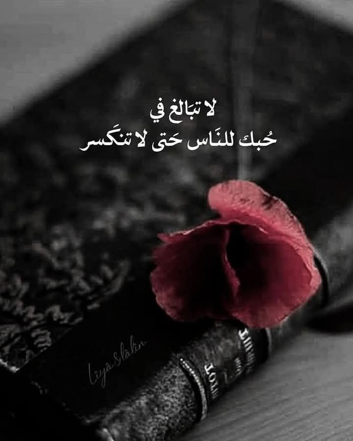 🌷رهف 🌹🌹 tweet media