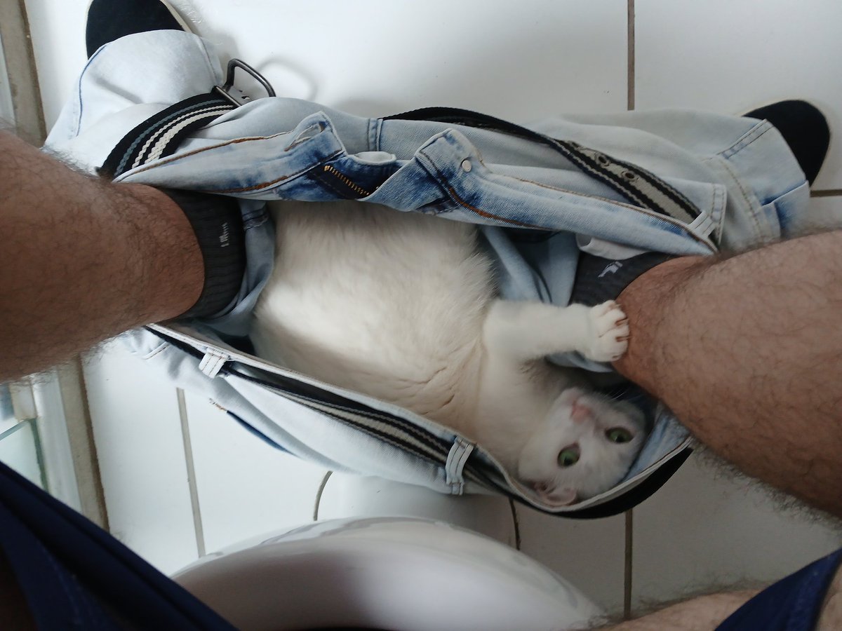 Felippe HD Linux tweet media