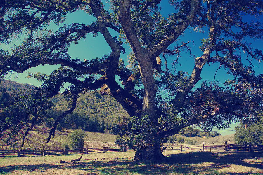 Ángeles M. Pomata tweet media