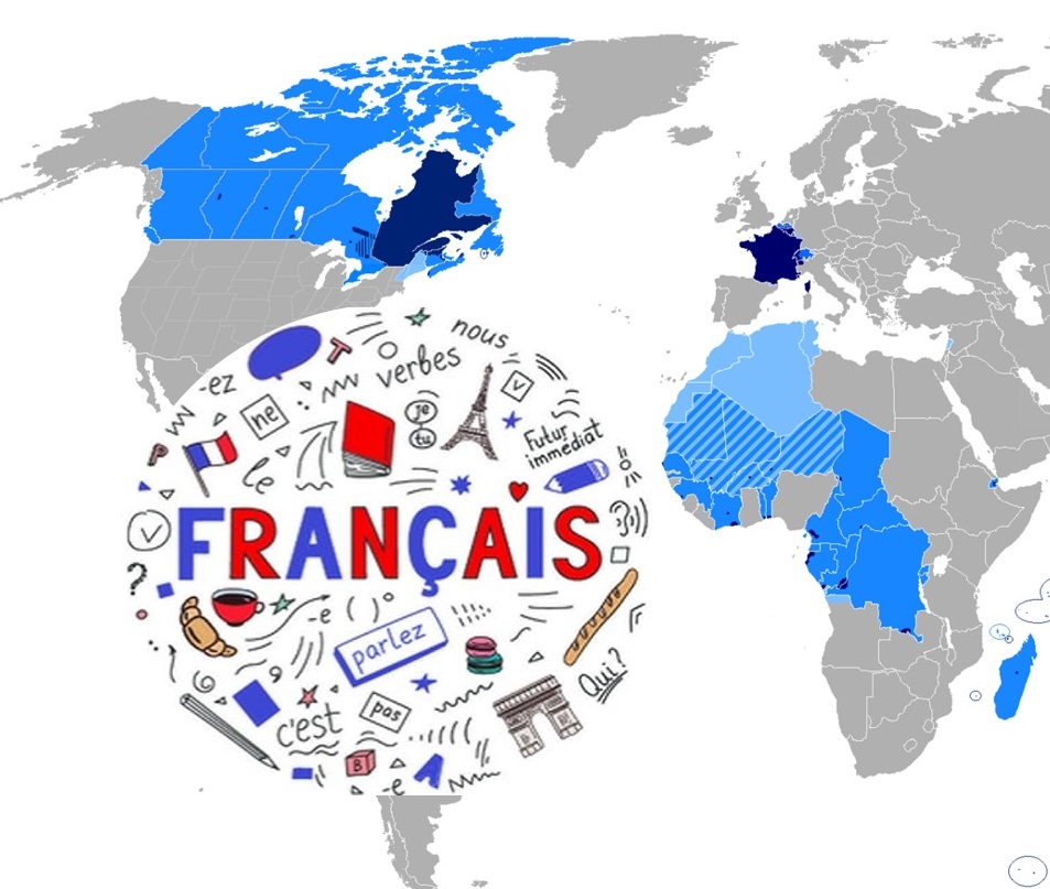 Histoire & Odyssée tweet media