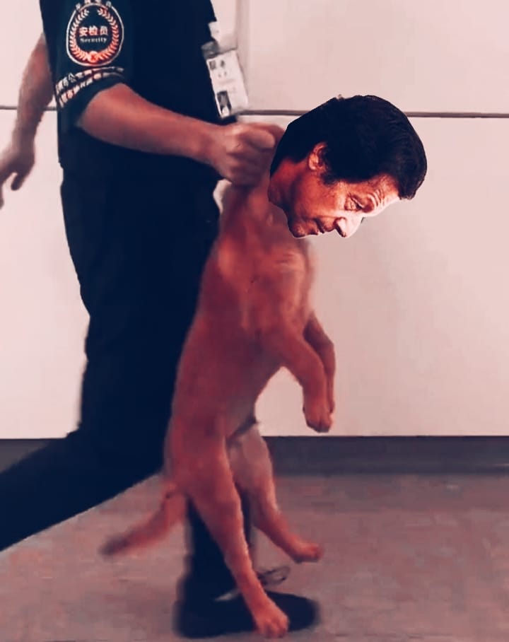 karambit75's tweet photo. @KaliwalYam Get rid of this dog https://t.co/8btLA6adcr