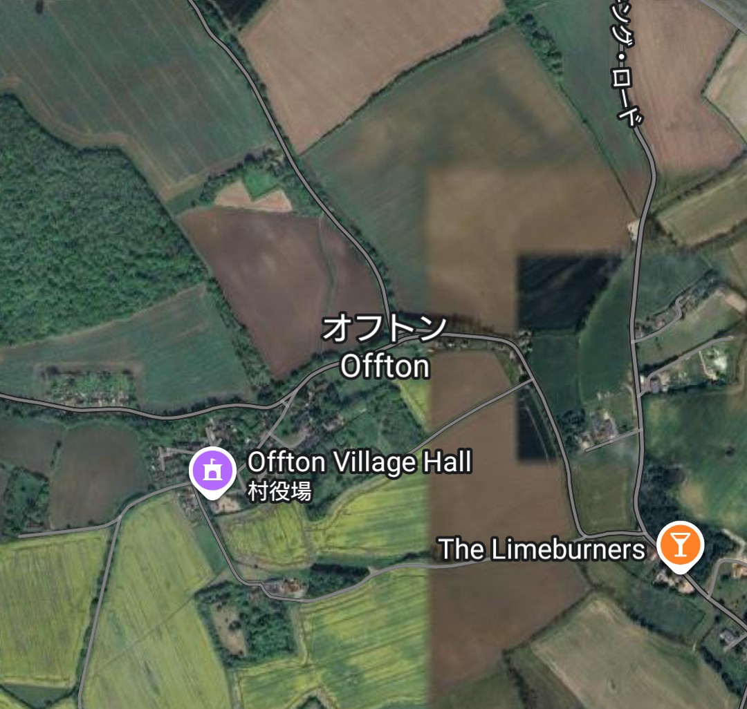 Cervidae🌸 tweet media