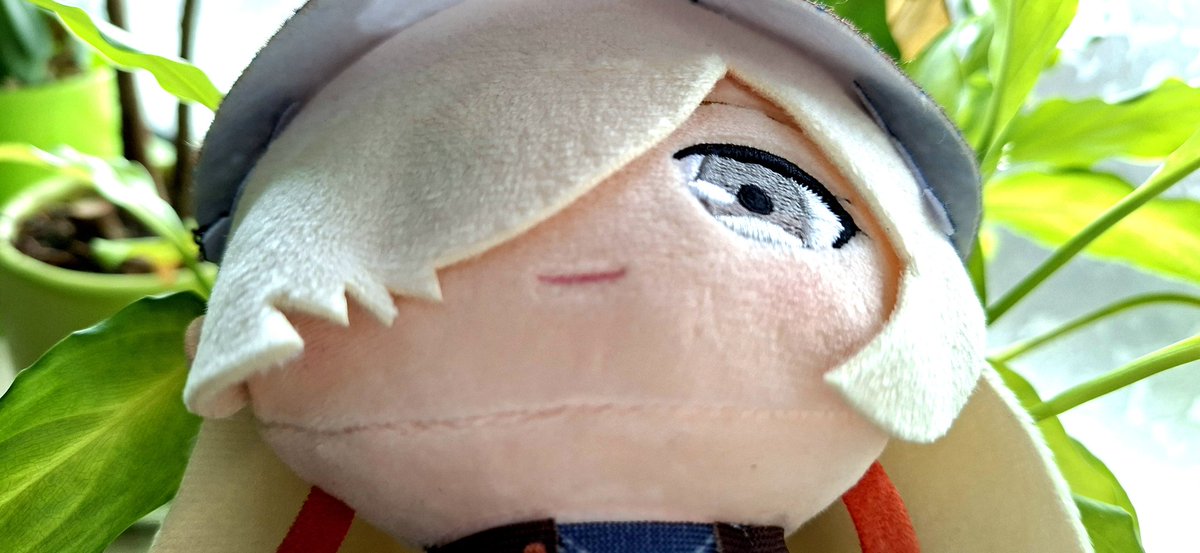 Tomeiame tweet media