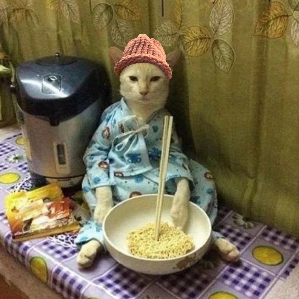 $CWIF cats tweet media