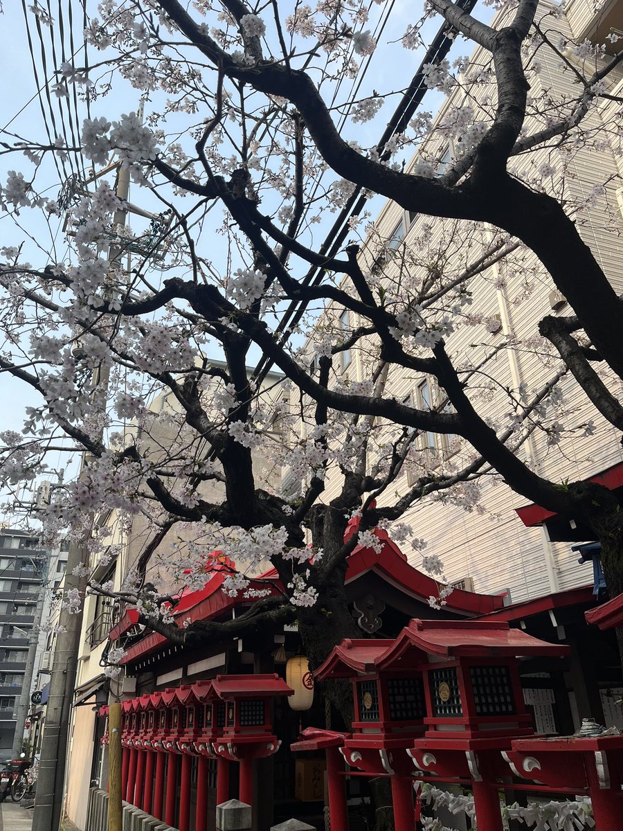 🐰ゆぅ🐸/chihiro tweet media