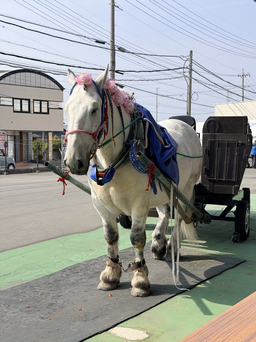 坂口楓華 tweet media