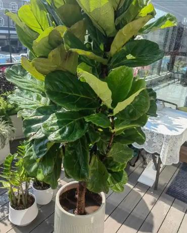 Live and Learn tweet media