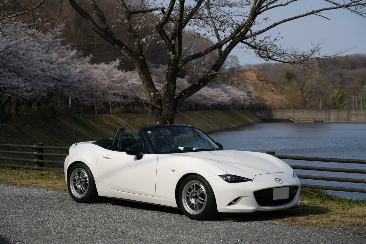 ヤスカイ tweet media