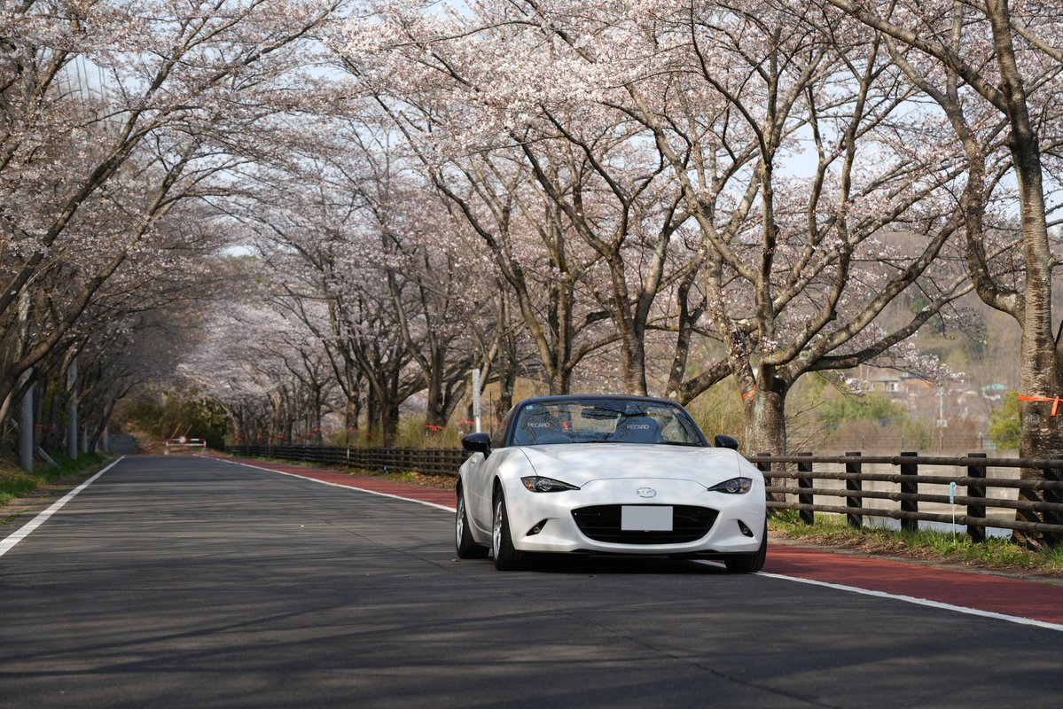 ヤスカイ tweet media