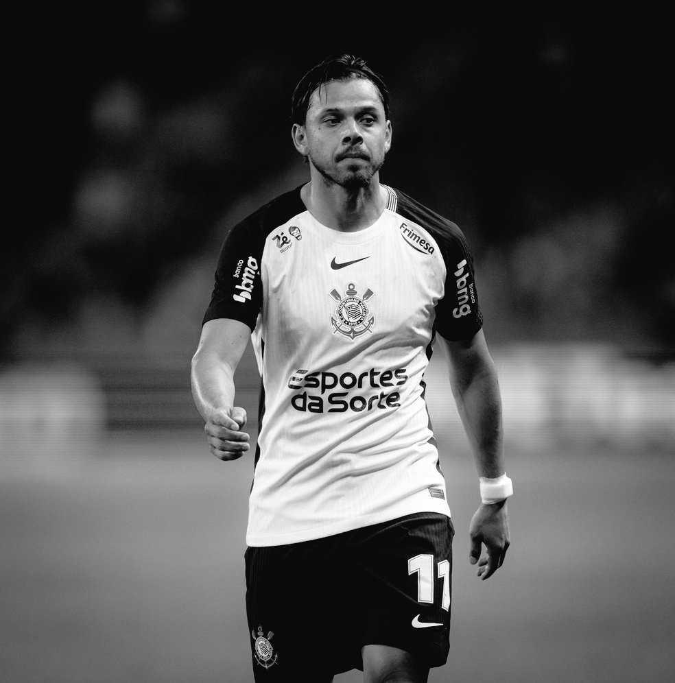 Olé do Palmeiras tweet media