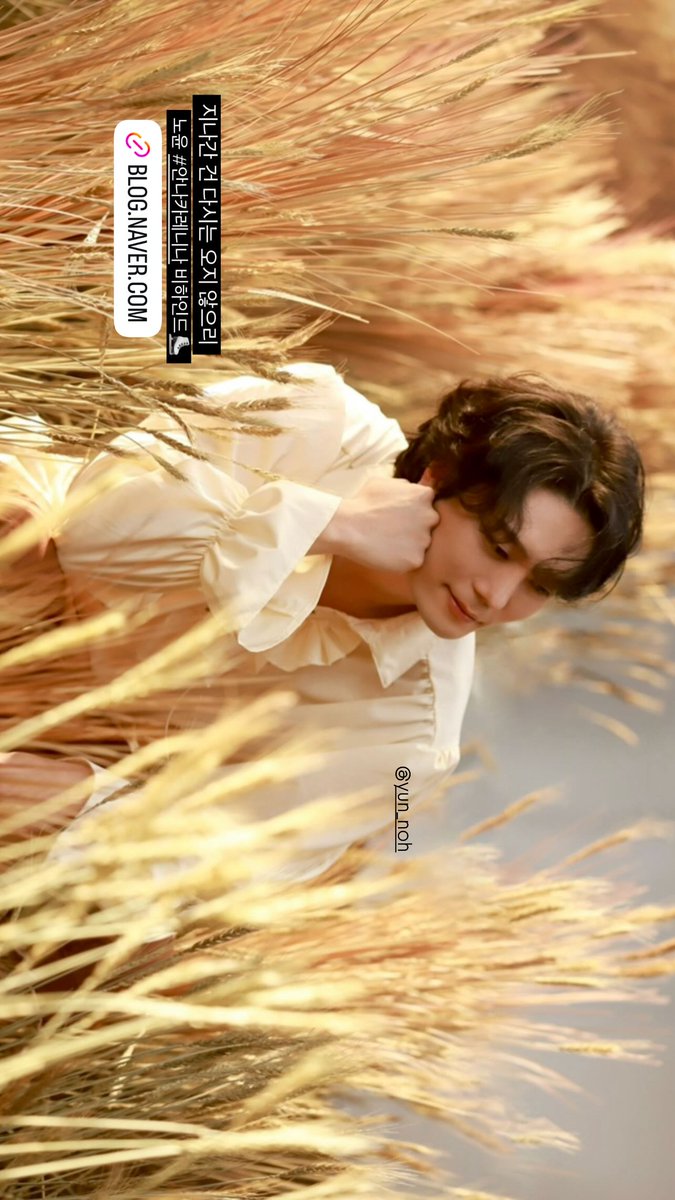 노윤 인스타 아카이브 tweet media