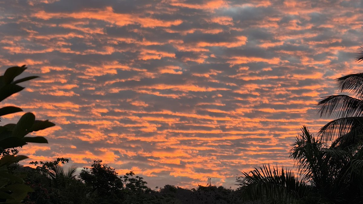 Leidy Díaz tweet media