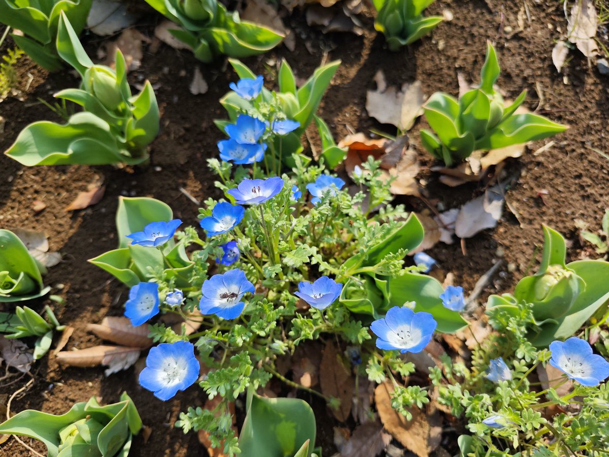 Warren伦 tweet media