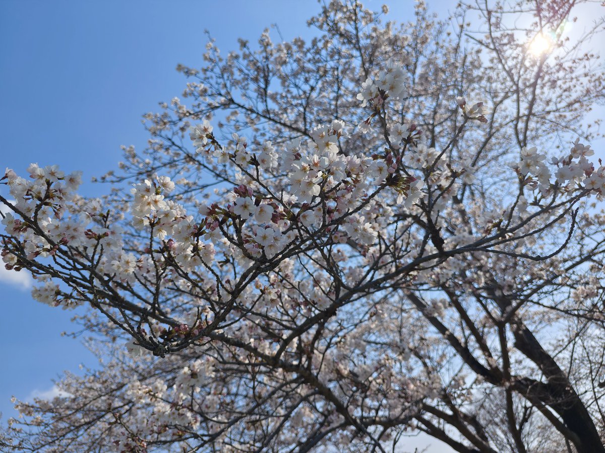 Warren伦 tweet media