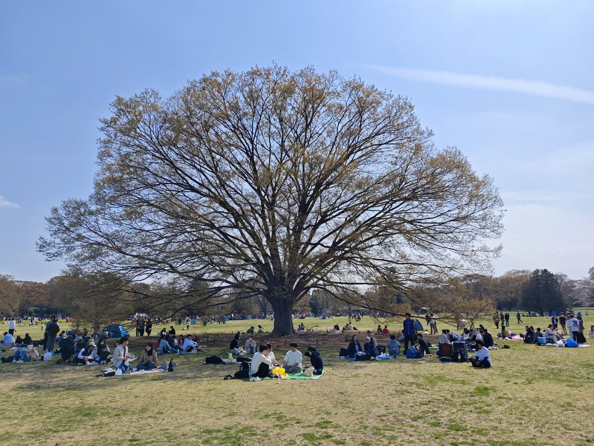 Warren伦 tweet media