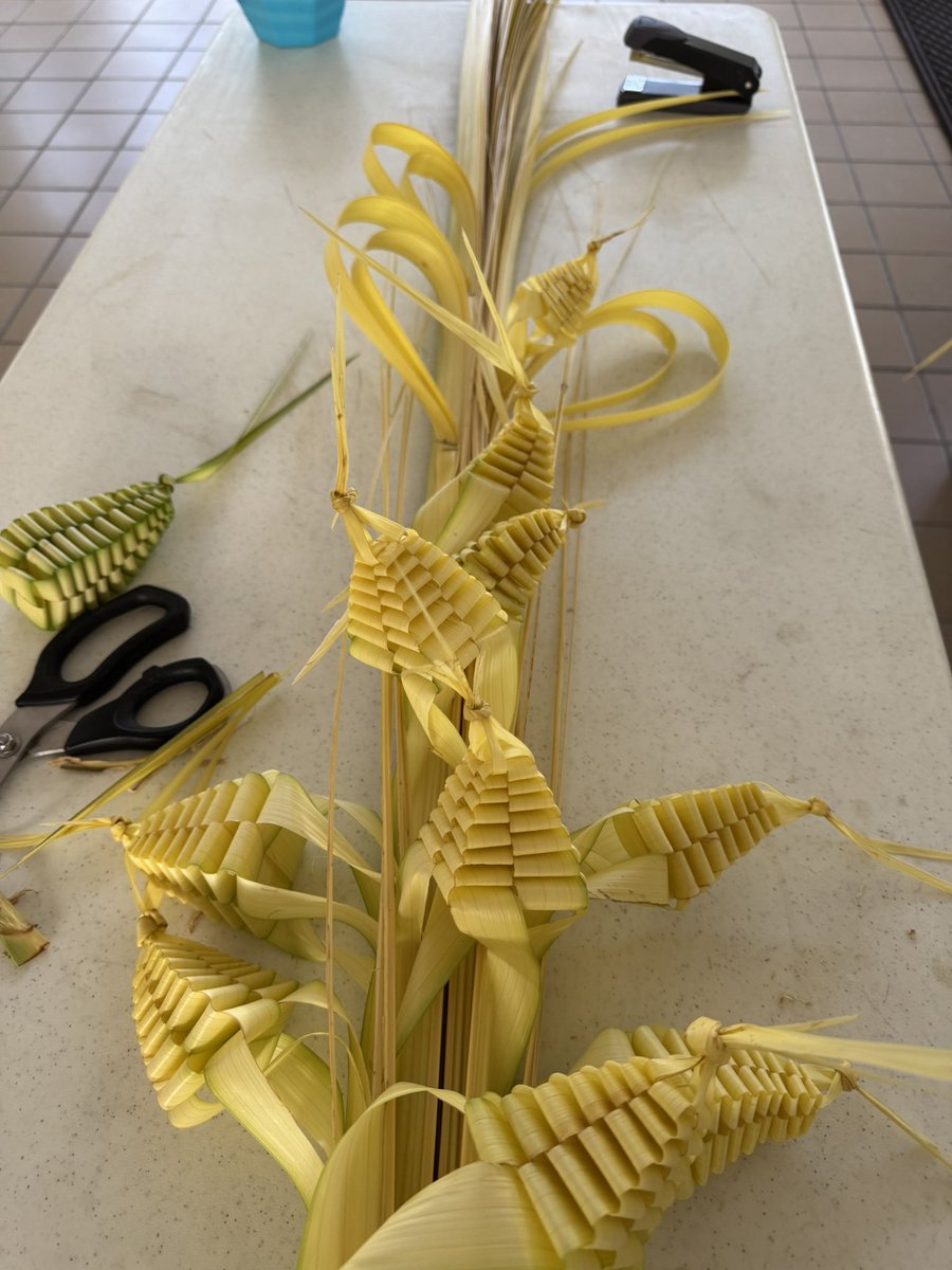 Leidy Díaz tweet media