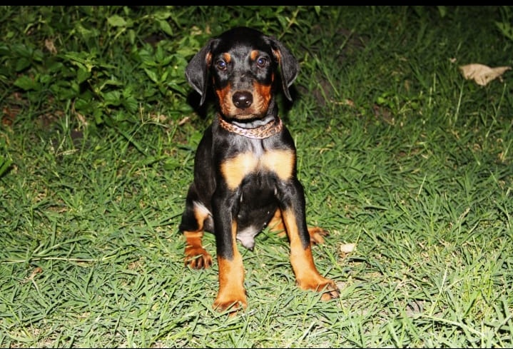 Aquila Global 🦅⁷⁷⁷ tweet media