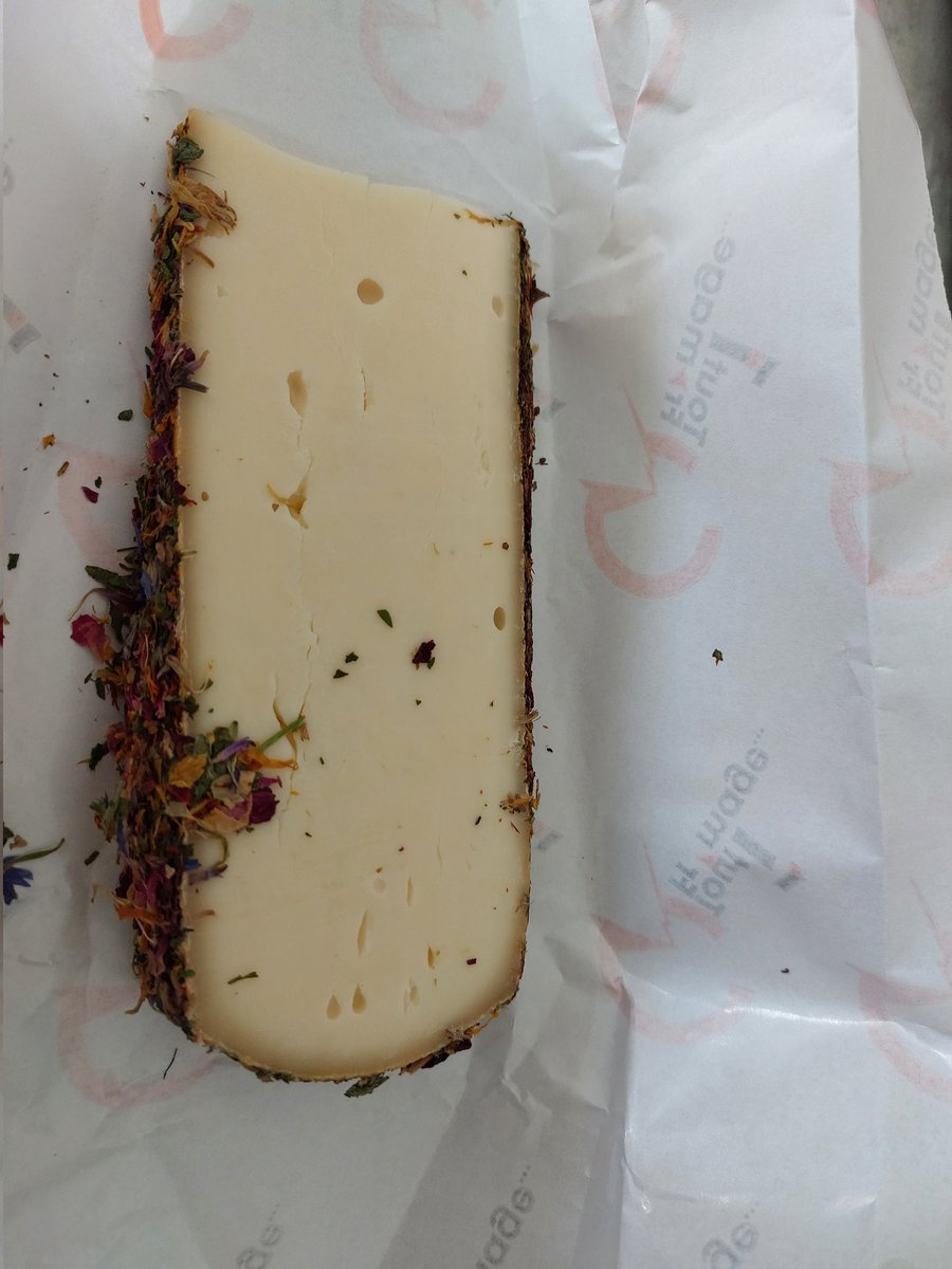 🇫🇷🌿Elisapereira #Ben Voyons tweet media