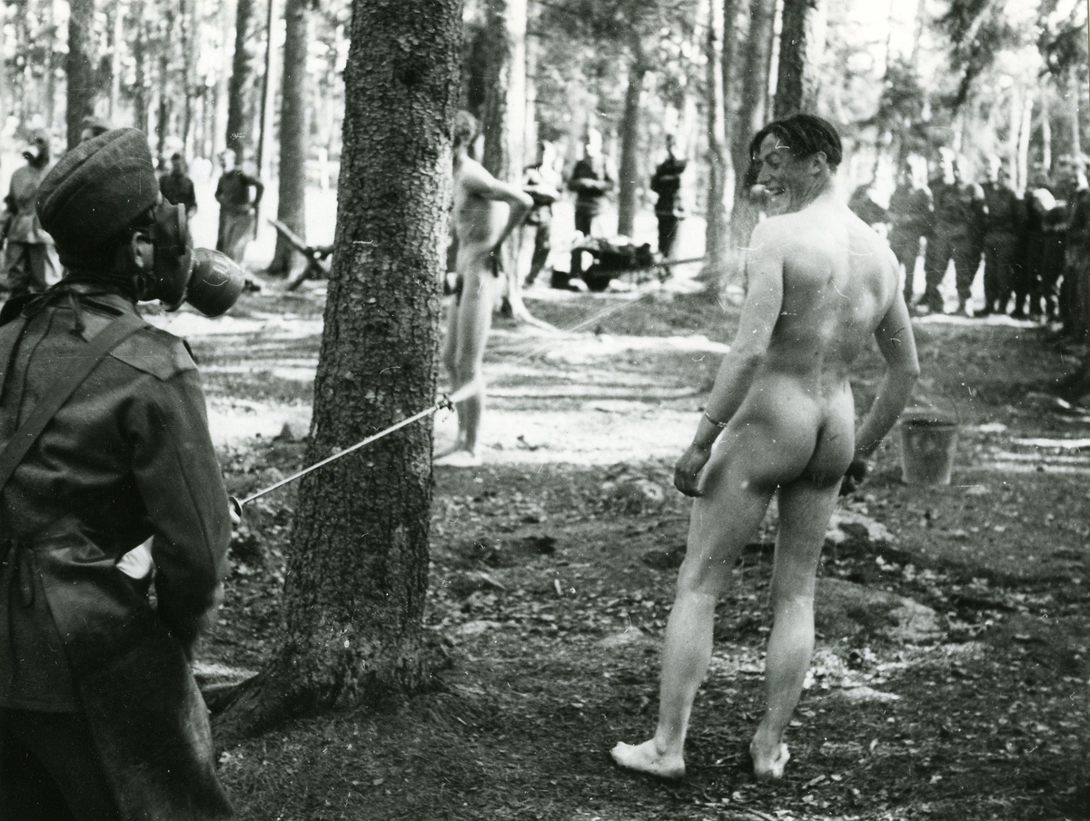 Musterung tweet media