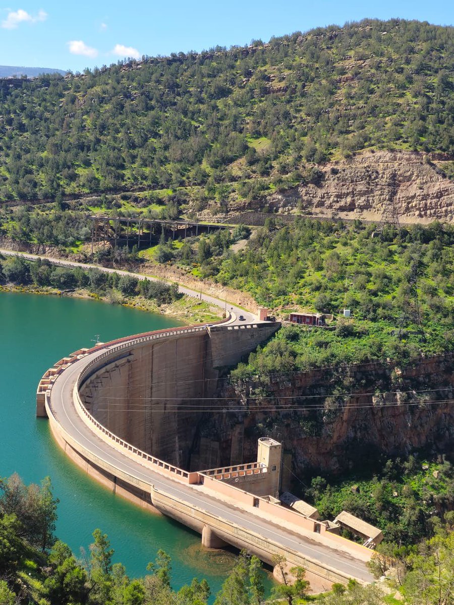 Toinette tweet media