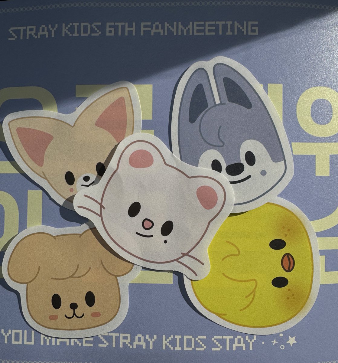 컨페티에 스키주있어